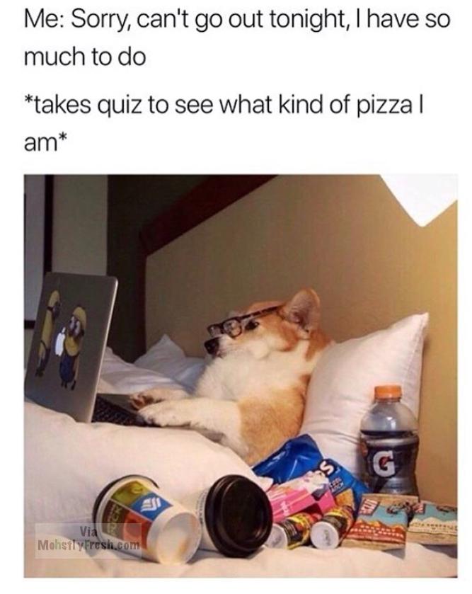 fresh meme about when your friends cancel meme - Me Sorry, can't go out tonight, I have so much to do takes quiz to see what kind of pizza | am Via Mohsfly Fresh.com