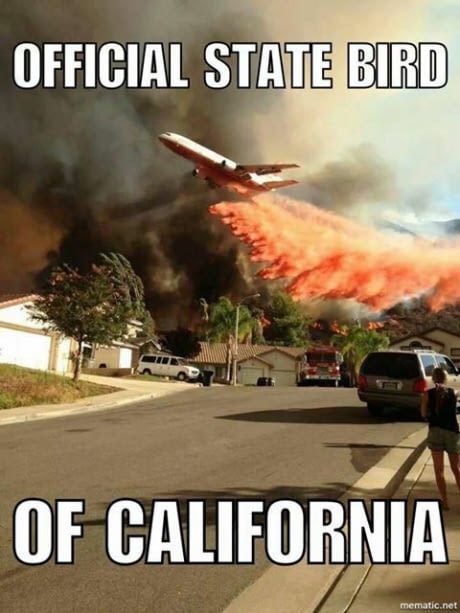 fresh meme about when california memes - Official State Bird Of California mematic.net