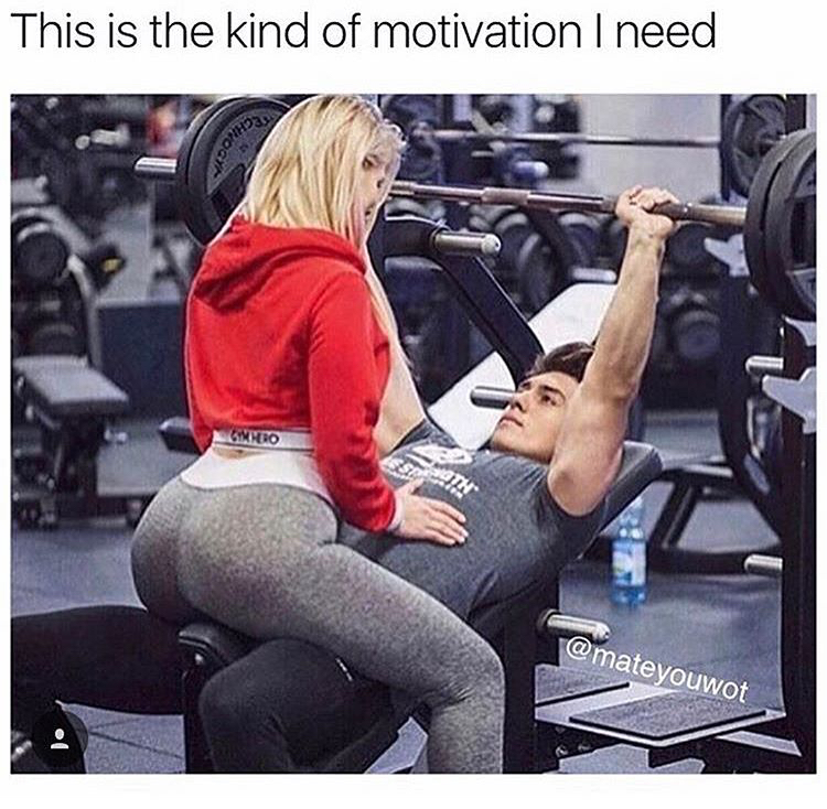 fresh meme about when kind of motivation i need - This is the kind of motivation I need Sixhoro