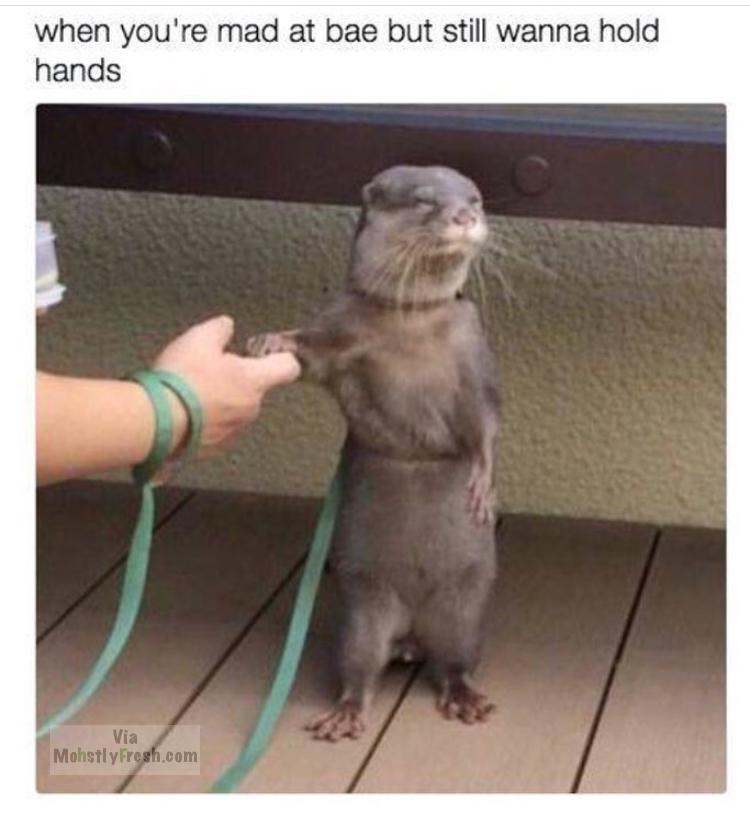 otter reluctantly holding hands in the way Bae holds hand wen mad