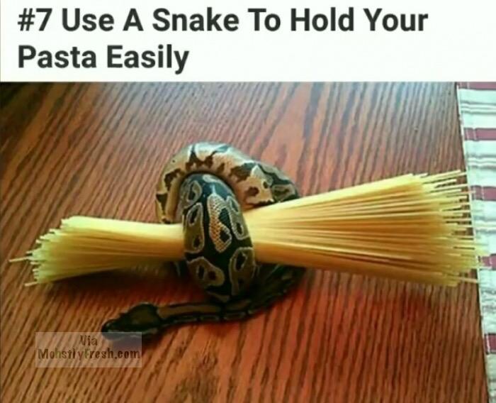 Snake holding pasta