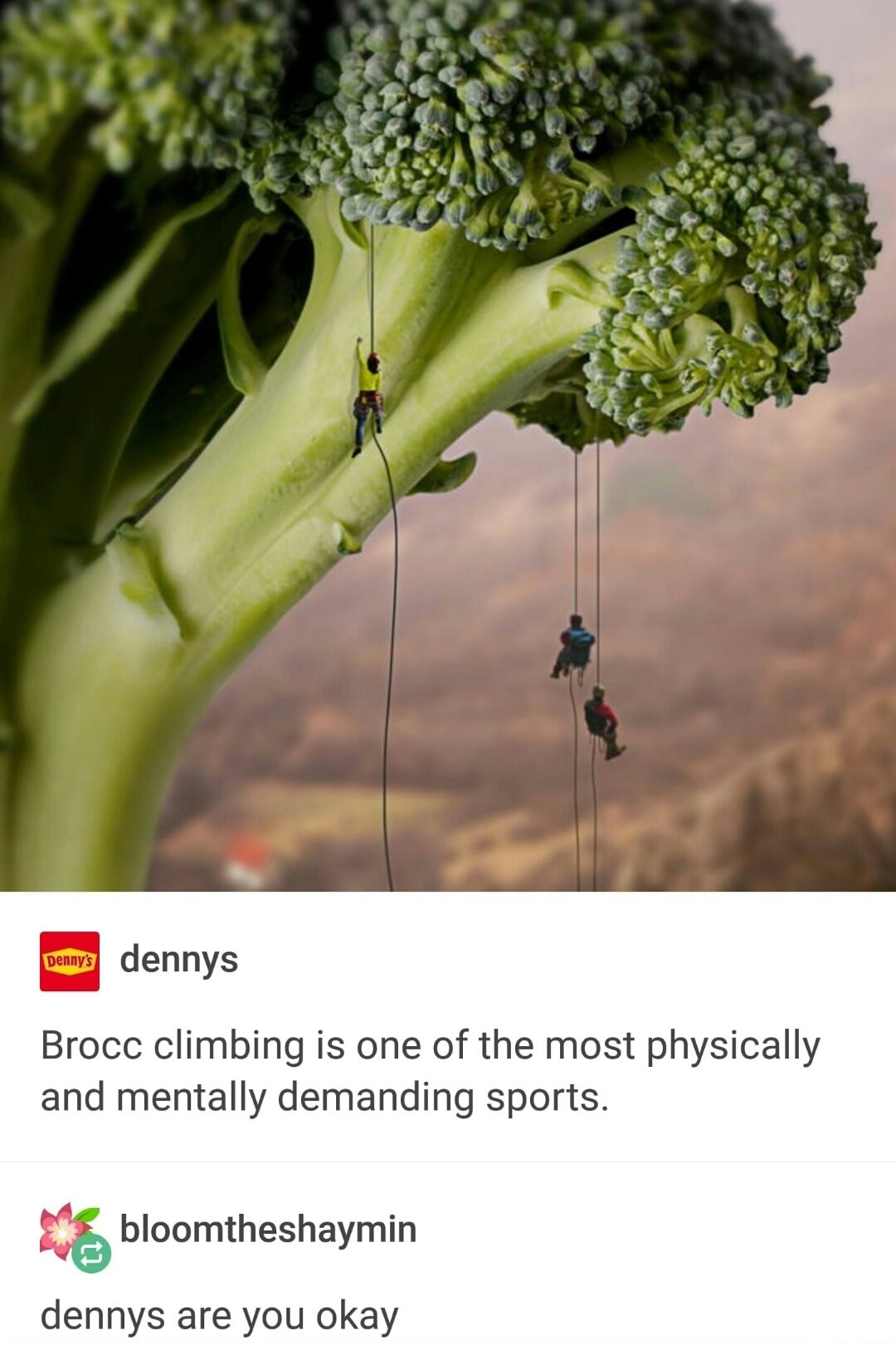 tree - Denys dennys Brocc climbing is one of the most physically and mentally demanding sports. bloomtheshaymin dennys are you okay