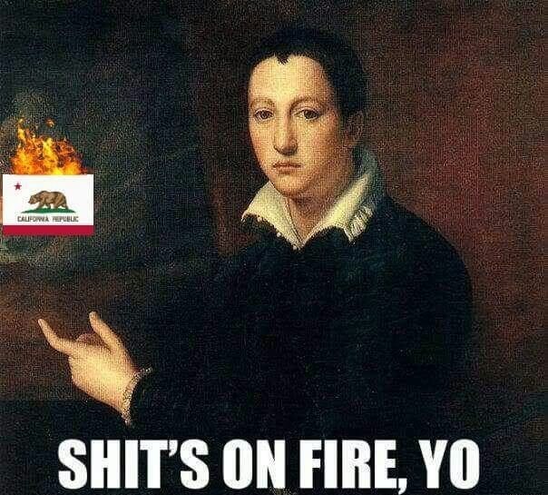 shits on fire yo - Califowa Pure Shit'S On Fire, Yo