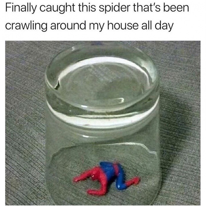 spiderman cursed - Finally caught this spider that's been crawling around my house all day