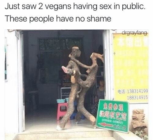 people have sex - Just saw 2 vegans having sex in public. These people have no shame drgrayfang 138314199 188314915 BEEZ2