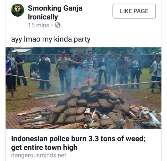 indonesian police burn 3.3 tons of weed - Page Smonking Ganja Ironically 15 mins. ayy Imao my kinda party Indonesian police burn 3.3 tons of weed; get entire town high dangerousminds.net