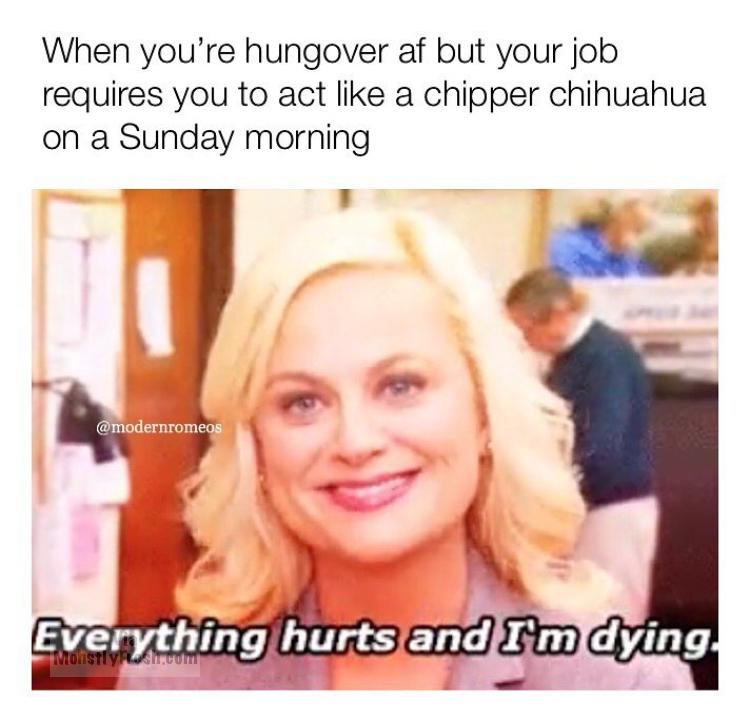 everything hurts and i m dying meme - When you're hungover af but your job requires you to act a chipper chihuahua on a Sunday morning Everything hurts and I'm dying. Molisty