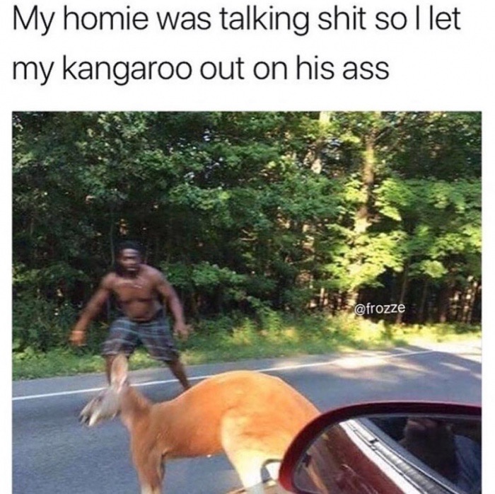 trumansburg kangaroo - My homie was talking shit sollet my kangaroo out on his ass
