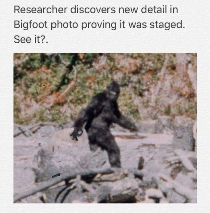 circle game meme hidden - Researcher discovers new detail in Bigfoot photo proving it was staged. See it?.