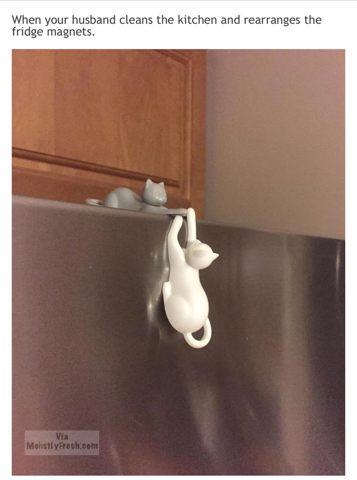 savage pic of cat magnets made to look like Lion King scene after husband cleans the fridge