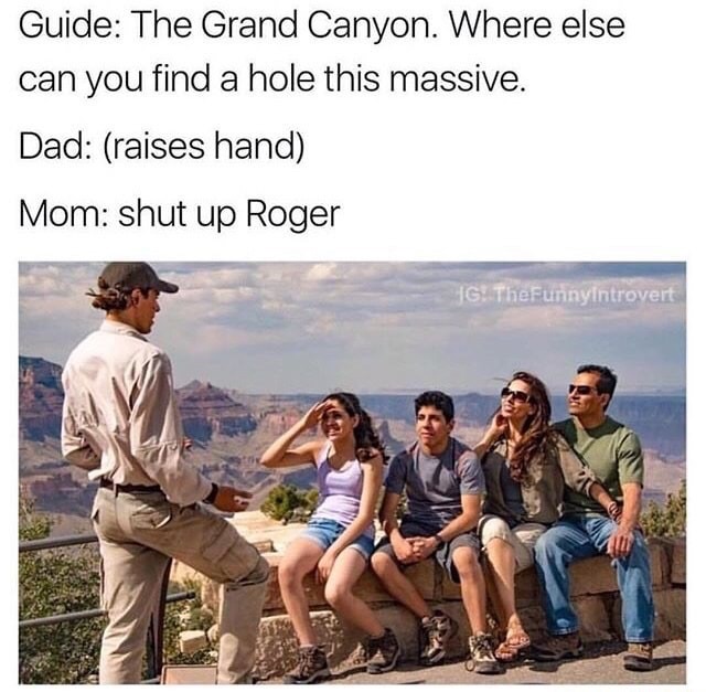 marriage goals memes - Guide The Grand Canyon. Where else can you find a hole this massive. Dad raises hand Mom shut up Roger Hg TheFunnyintrovert