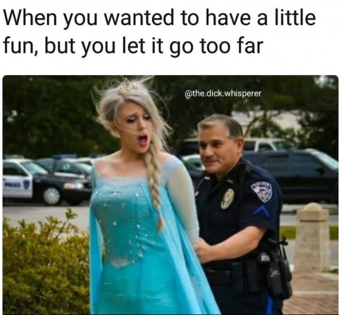 memes - elsa arrested - When you wanted to have a little fun, but you let it go too far .dick.whisperer
