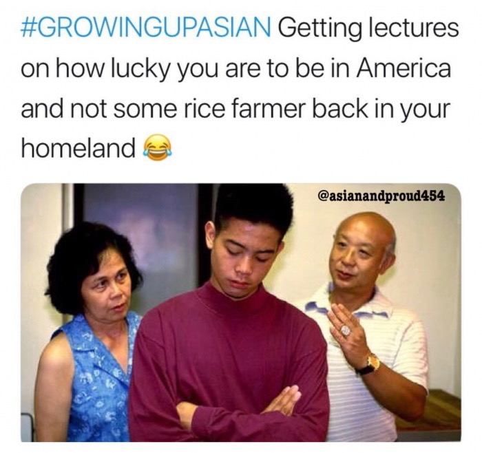 memes - disappointed asian parents - Getting lectures on how lucky you are to be in America and not some rice farmer back in your homelande