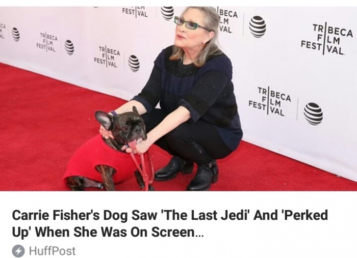 memes - tribeca film festival - Fest Val Tribec Film Festval Carrie Fisher's Dog Saw 'The Last Jedi' And 'Perked Up' When She Was On Screen... HuffPost