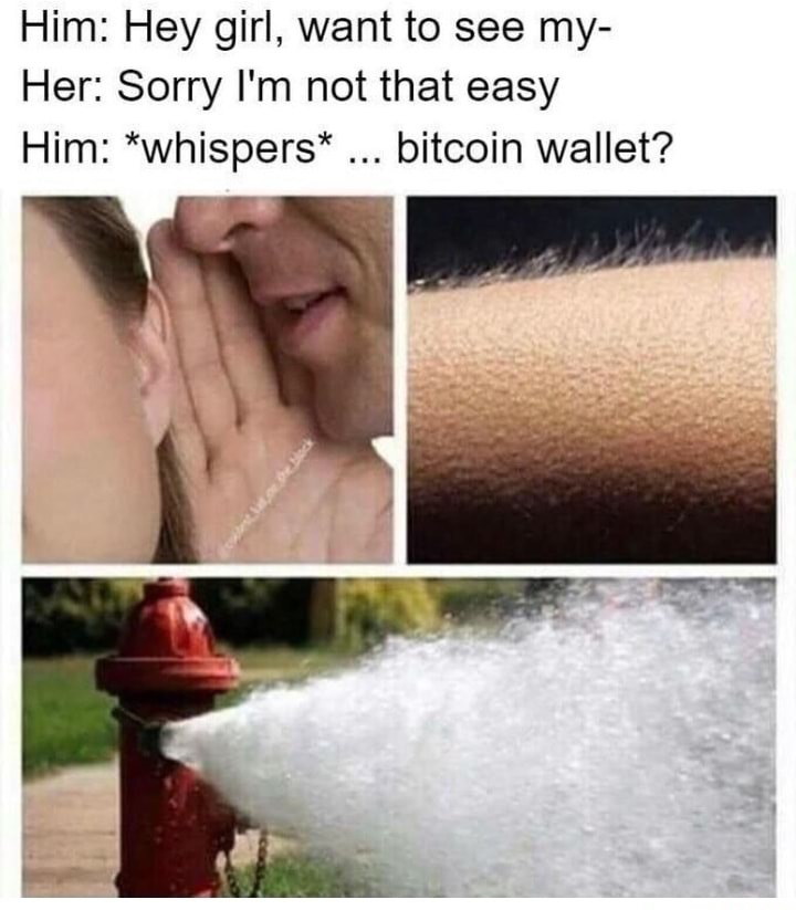 memes - neck - Him Hey girl, want to see my Her Sorry I'm not that easy Him whispers ... bitcoin wallet?