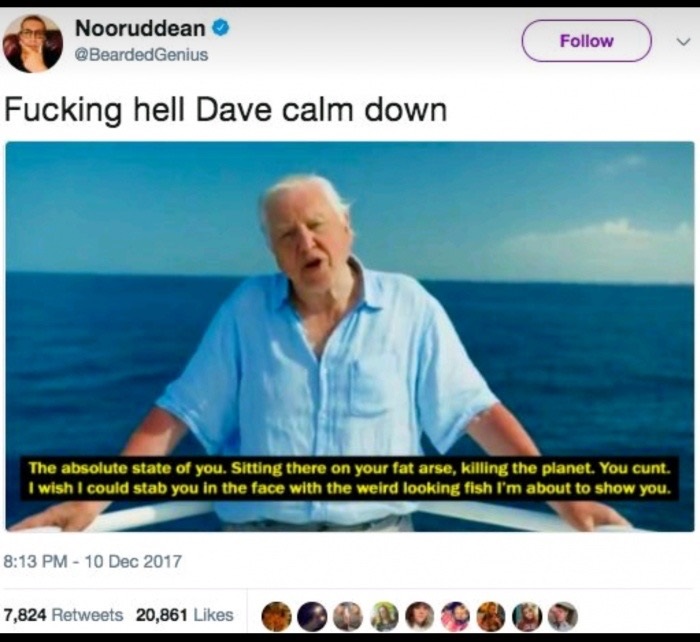 meme stream - funny david attenborough memes - Nooruddean Genius Fucking hell Dave calm down The absolute state of you. Sitting there on your fat arse, killing the planet. You cunt I wish I could stab you in the face with the weird looking fish I'm about 