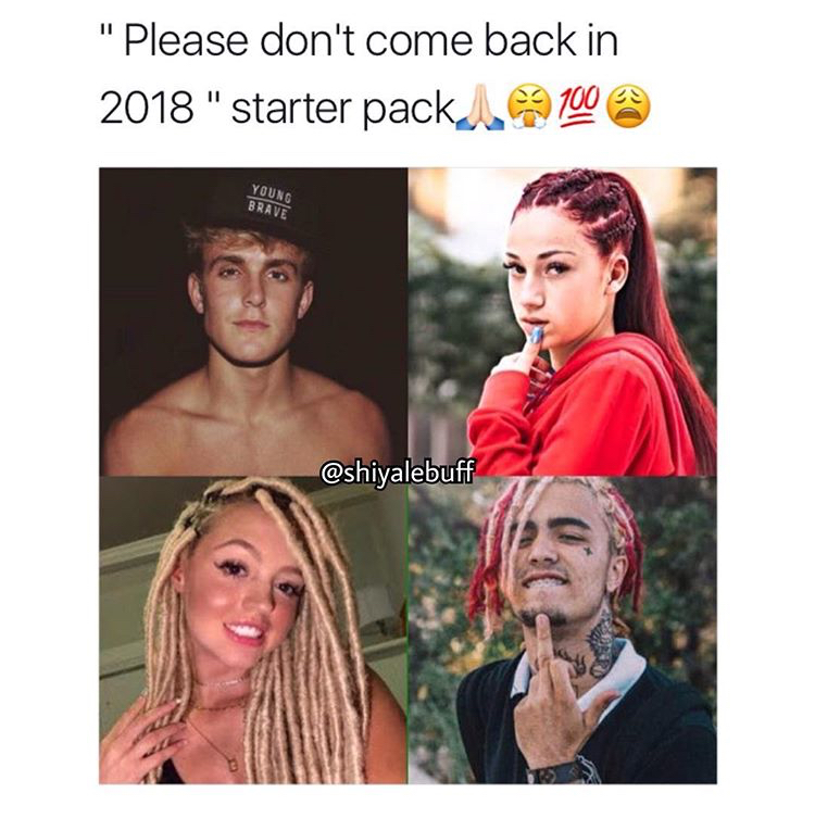meme stream - hair coloring - "Please don't come back in 2018" starter packel 100 Young Brave