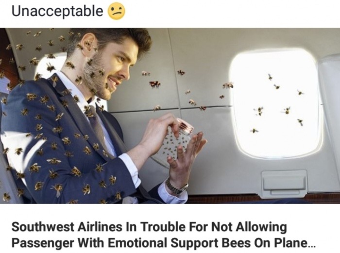 meme stream - emotional support bee - Unacceptable Southwest Airlines In Trouble For Not Allowing Passenger With Emotional Support Bees On Plane...
