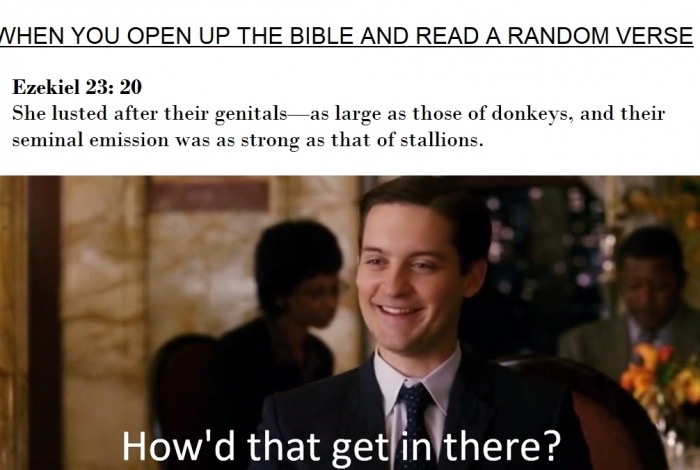 meme stream - d that get in there meme - Nhen You Open Up The Bible And Read A Random Verse Ezekiel She lusted after their genitalsas large as those of donkeys, and their seminal emission was as strong as that of stallions. How'd that get in there?