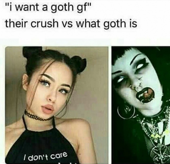 goth meme - "I want a goth gf" their crush vs what goth is I don't care