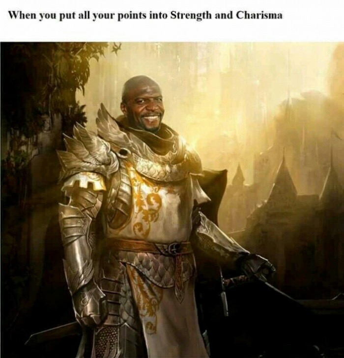 guild wars 2 - When you put all your points into Strength and Charisma