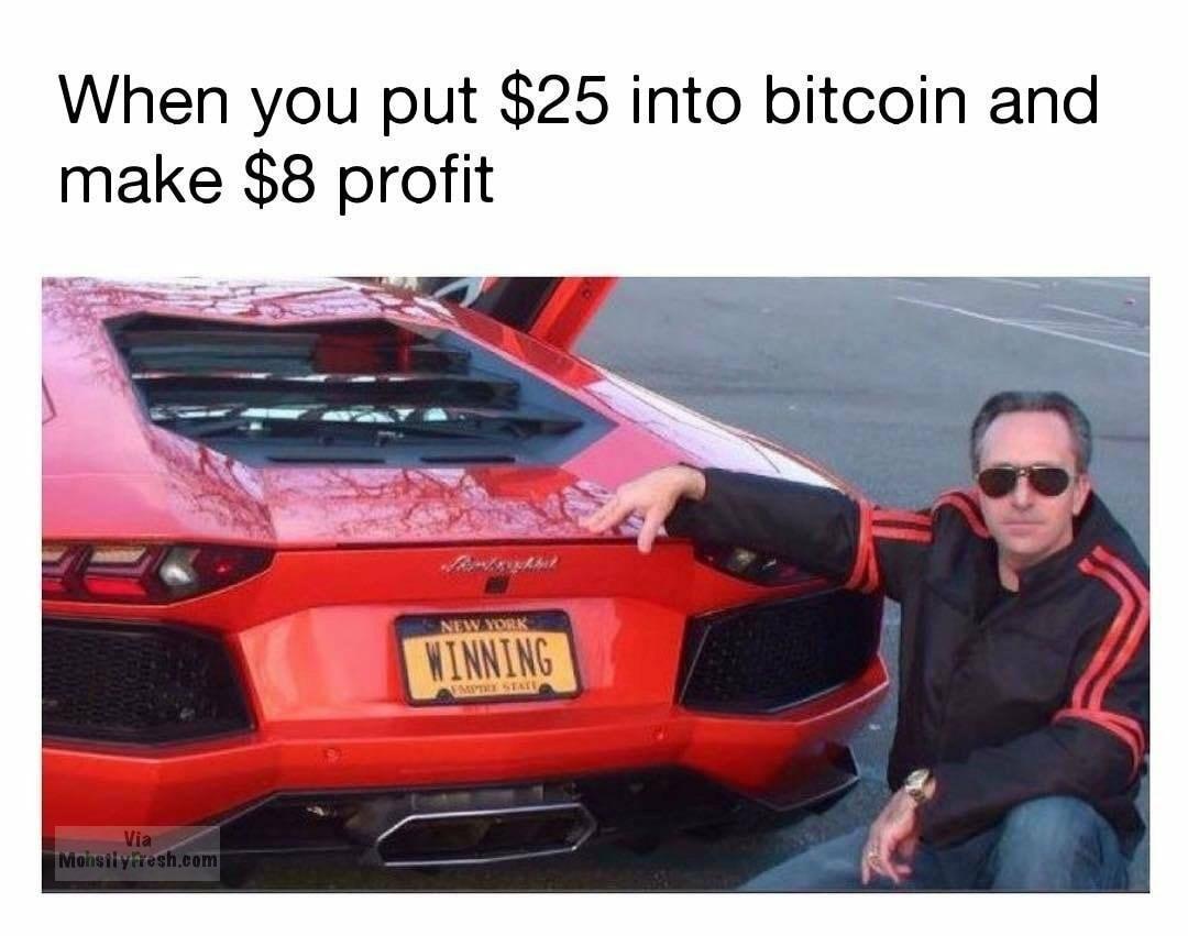 bitcoin winning meme - When you put $25 into bitcoin and make $8 profit A New York Monsti yfresh.com