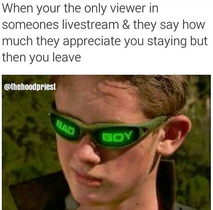 dank memes about steve buscemi spy kids - When your the only viewer in someones livestream & they say how much they appreciate you staying but then you leave Sad Boy