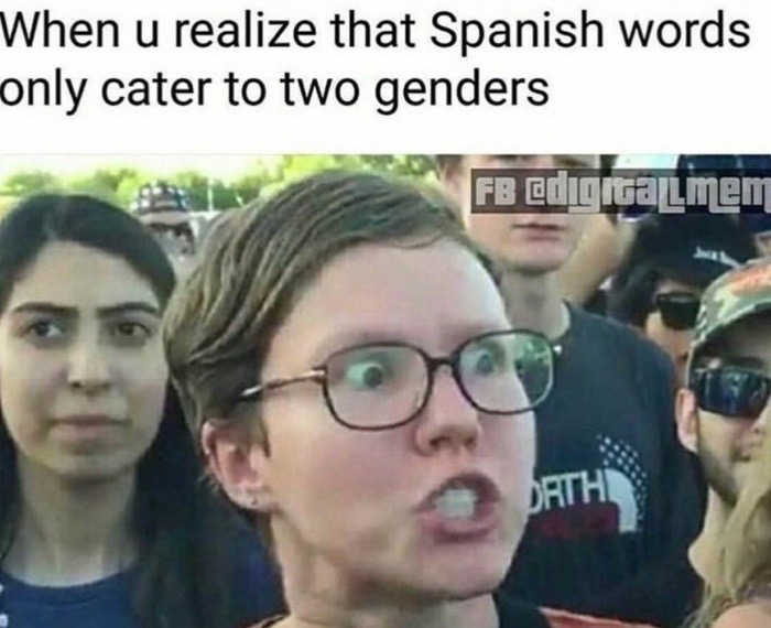 dank meme super triggered meme - When u realize that Spanish words only cater to two genders Fb ho Dath