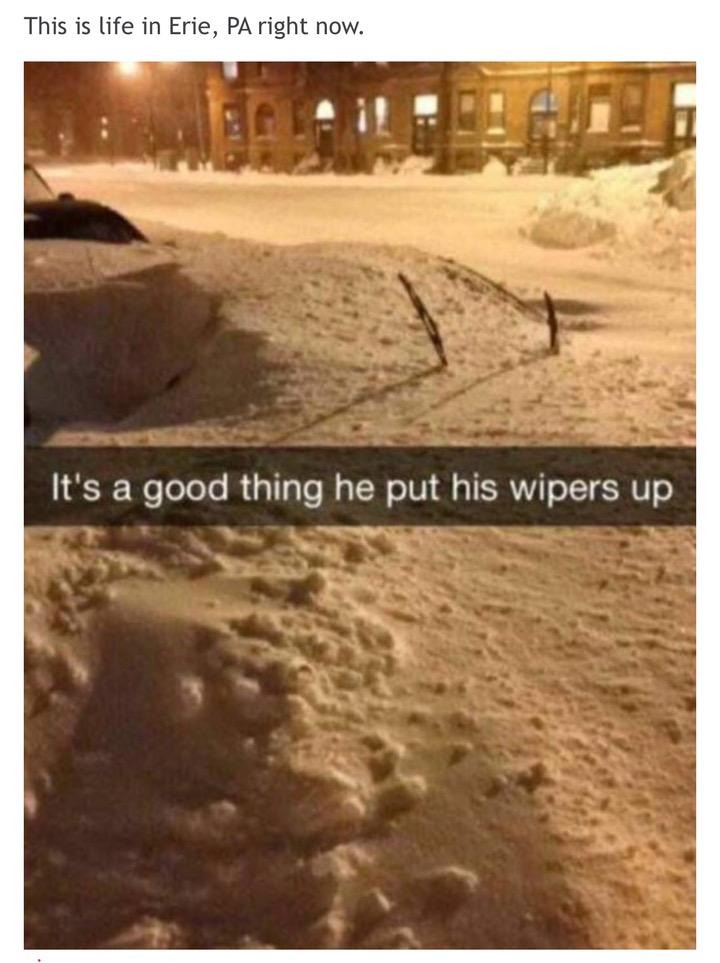 dank meme good thing he put his wipers up - This is life in Erie, Pa right now. It's a good thing he put his wipers up