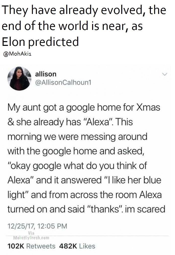 dank meme animal - They have already evolved, the end of the world is near, as Elon predicted allison My aunt got a google home for Xmas & she already has "Alexa". This morning we were messing around with the google home and asked, "Okay google what do yo