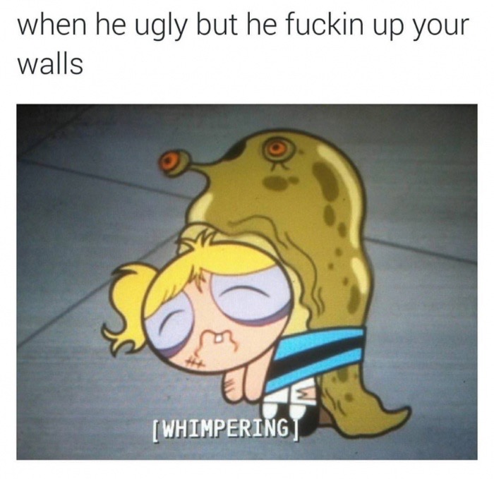 he ugly but he fucking up your walls - when he ugly but he fuckin up your walls Whimpering