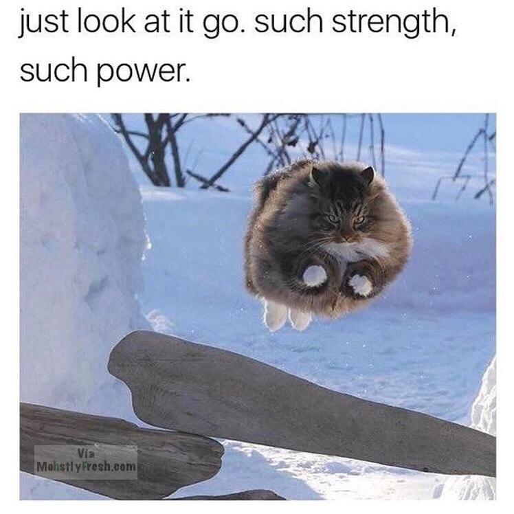 look at it go such strength such power - just look at it go. such strength, such power. Via MohstlyFresh.com
