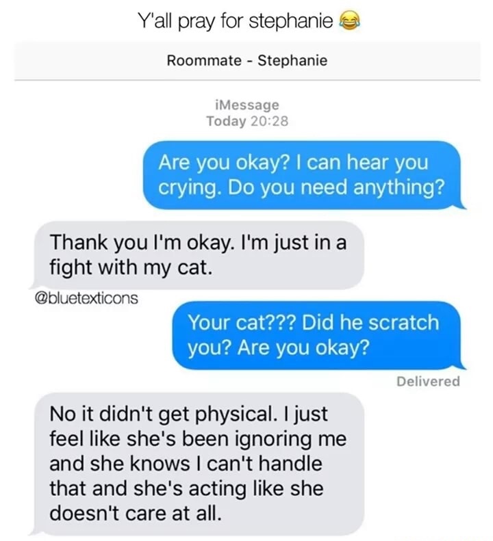 web page - Y'all pray for stephanie a Roommate Stephanie iMessage Today Are you okay? I can hear you crying. Do you need anything? Thank you I'm okay. I'm just in a fight with my cat. Your cat??? Did he scratch you? Are you okay? Delivered No it didn't ge
