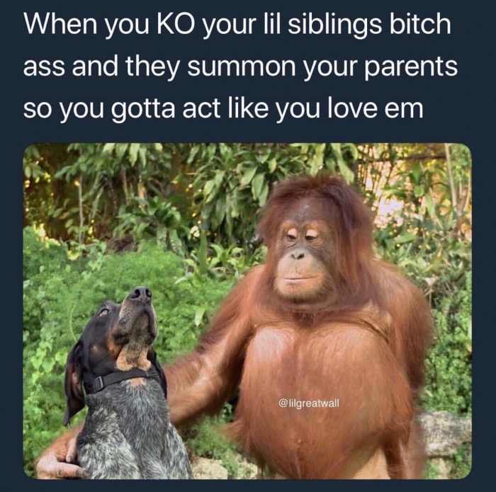 together not the same - When you Ko your lil siblings bitch ass and they summon your parents so you gotta act you love em