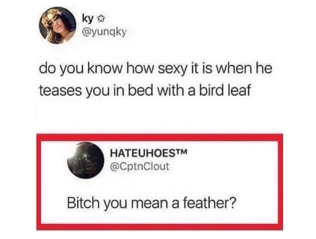 material - ky do you know how sexy it is when he teases you in bed with a bird leaf Hateuhoestm Bitch you mean a feather?