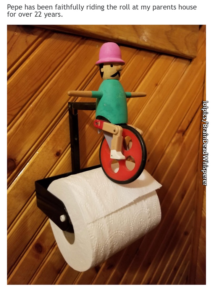 household paper product - Pepe has been faithfully riding the roll at my parents house for over 22 years. lolpicsBrainDeadWhisperer