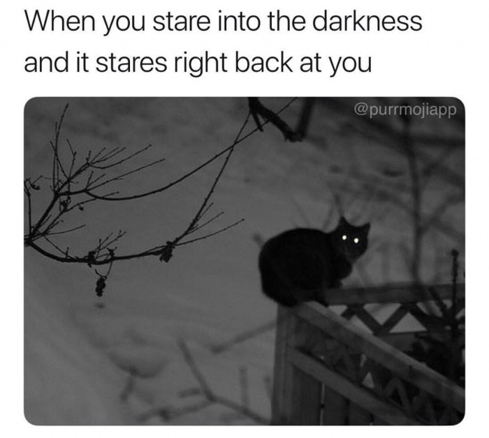 black cat with glowing eyes - When you stare into the darkness and it stares right back at you