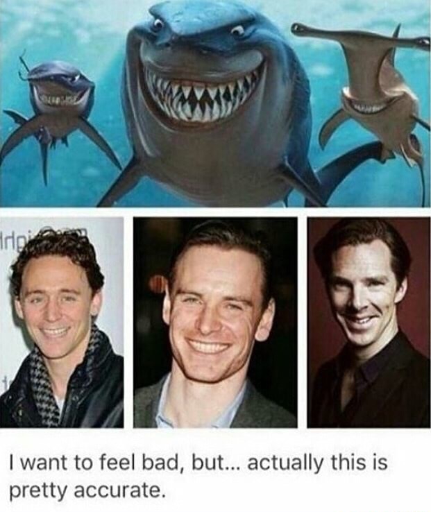 finding nemo bruce - I want to feel bad, but... actually this is pretty accurate.