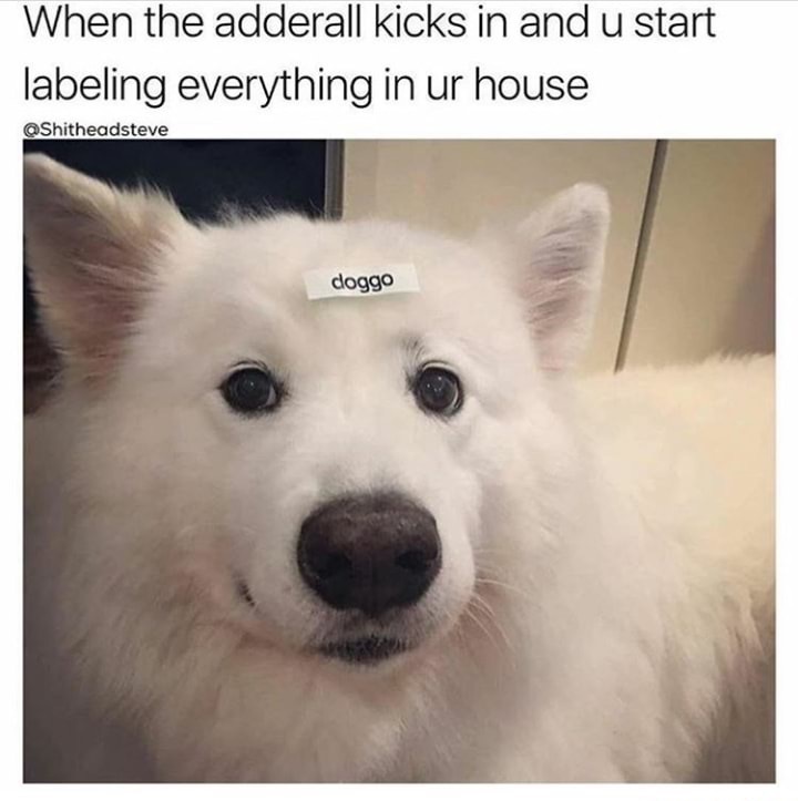 doggo label - When the adderall kicks in and u start labeling everything in ur house doggo