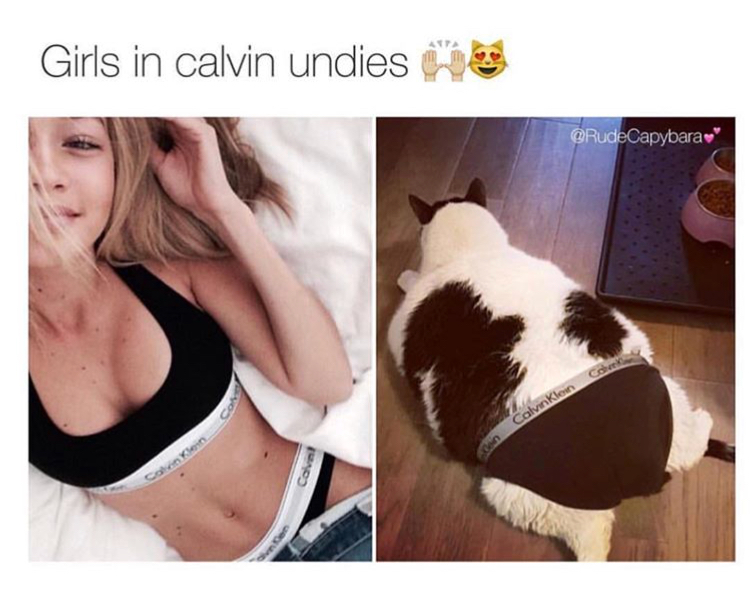 Girls in calvin undies e Calvin Klein