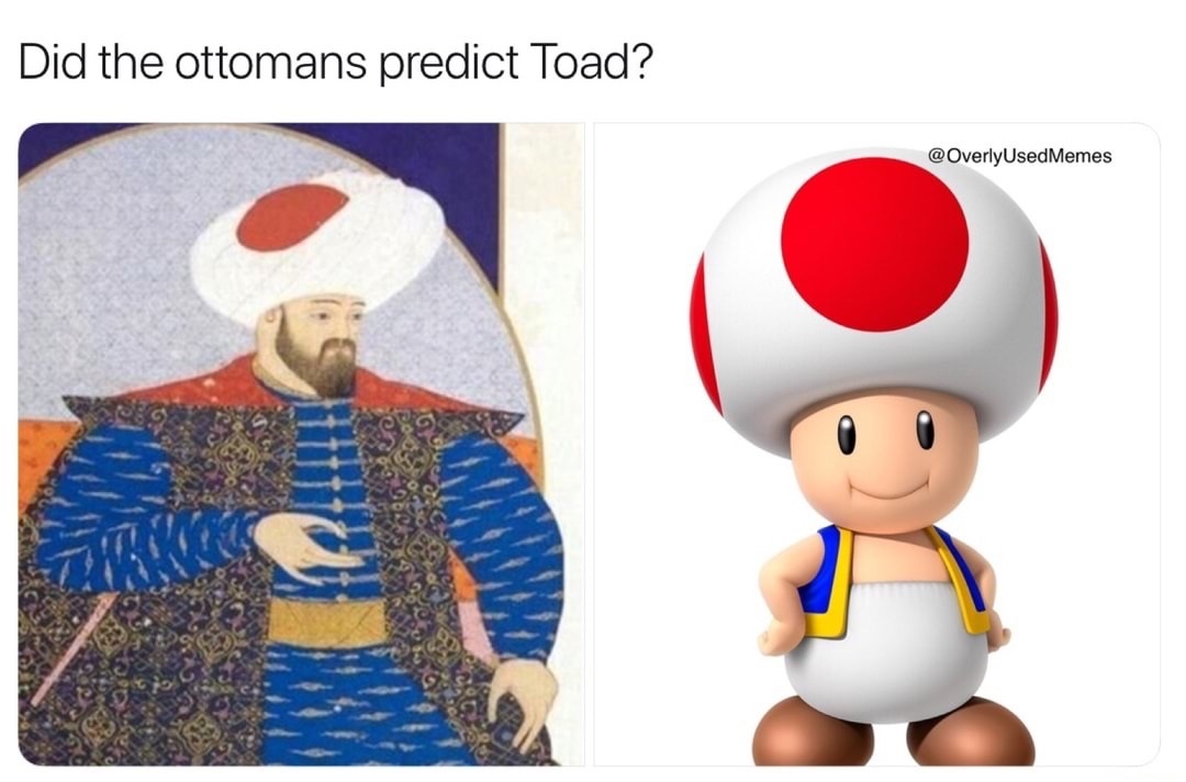 careful who you call ugly in middle school toad meme - Did the ottomans predict Toad? Memes