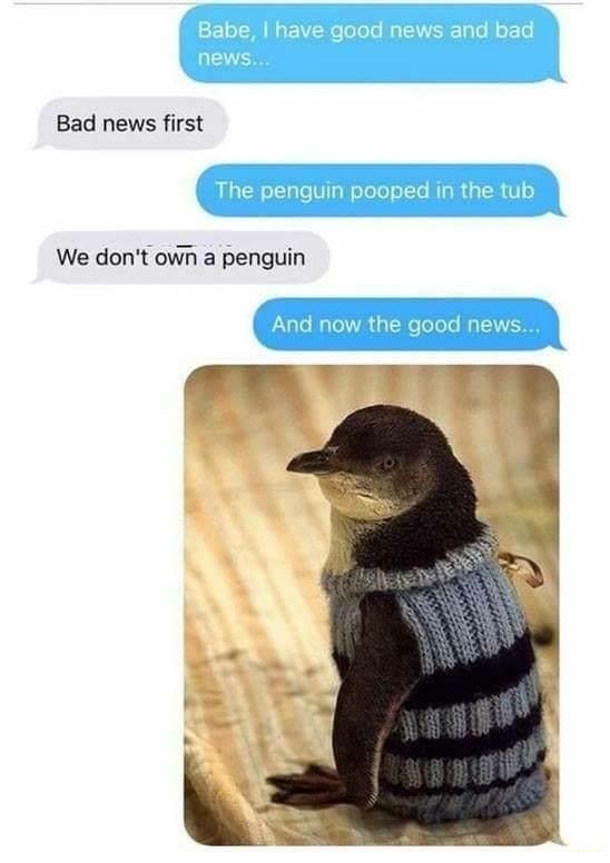 penguins in sweaters - Babe, I have good news and bad news. Bad news first The penguin pooped in the tub We don't own a penguin And now the good news...