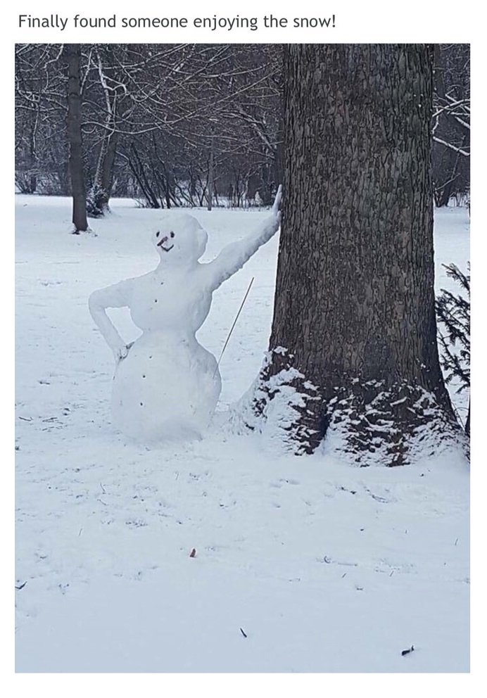 snow dank memes funny - Finally found someone enjoying the snow!