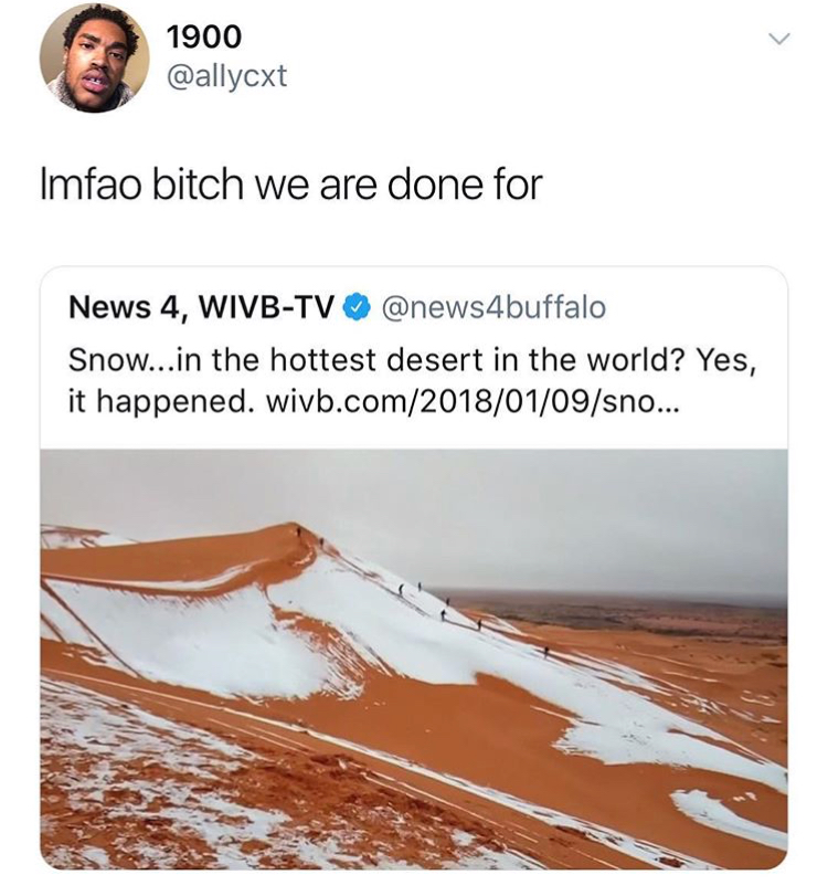 funniest memes 2018 dank memes memes - 1900 Imfao bitch we are done for News 4, WivbTv Snow...in the hottest desert in the world? Yes, it happened. wivb.comsno...
