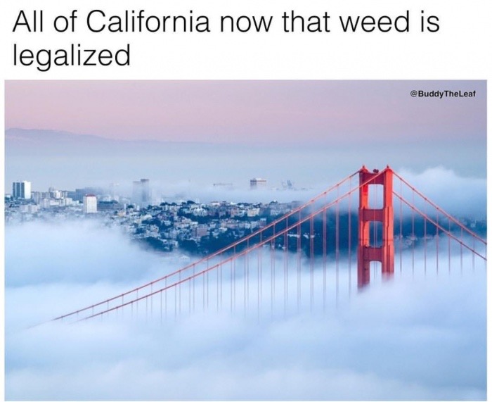 san francisco in winter - All of California now that weed is legalized TheLeaf