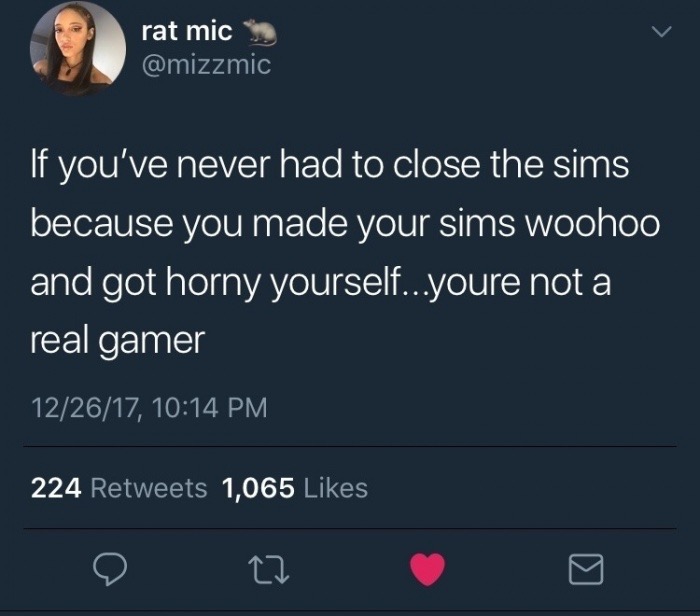 thats a big red flag - rat mic 'If you've never had to close the sims because you made your sims woohoo and got horny yourself...youre not a real gamer 122617, 224 1,065