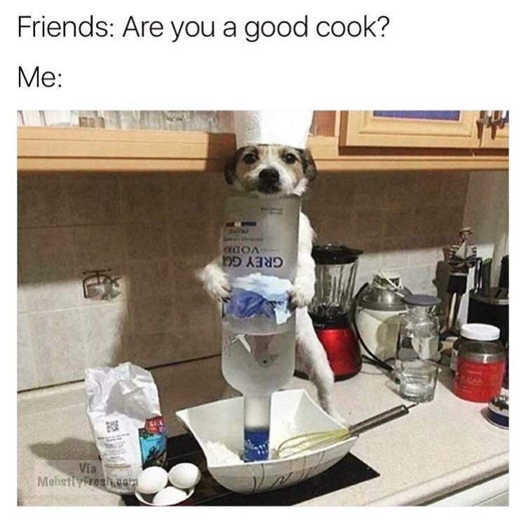 you a good cook - Friends Are you a good cook? Me Coa D Xd Via Mohstlylivesh.com