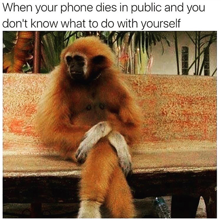monkey memes - When your phone dies in public and you don't know what to do with yourself