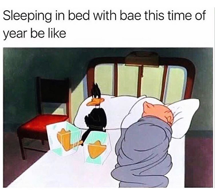 sleeping with bae meme - Sleeping in bed with bae this time of year be