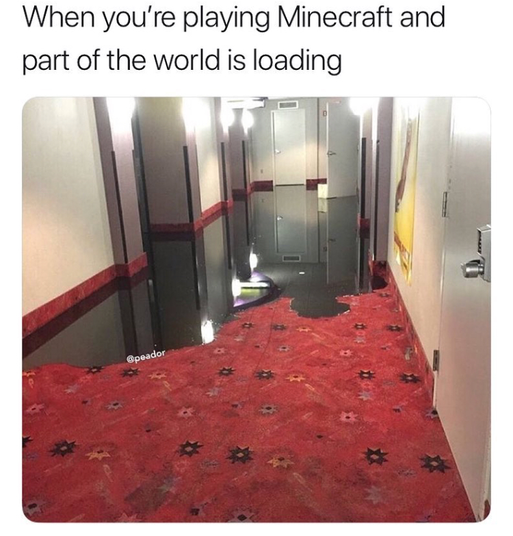 cursed images carpet - When you're playing Minecraft and part of the world is loading